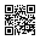 QR CODE 31