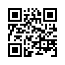 QR CODE 42