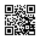 QR CODE 31