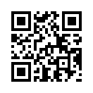QR CODE 42