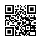 QR CODE 53
