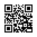 QR CODE 58