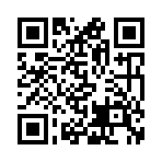 QR CODE 137