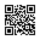 QR CODE 494
