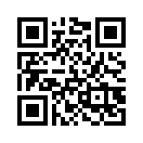 QR CODE 529