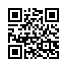 QR CODE 538