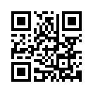 QR CODE 110