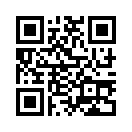 QR CODE 133