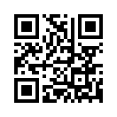 QR CODE 233