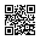 QR CODE 305