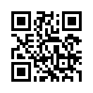 QR CODE 31