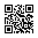 QR CODE 317