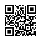 QR CODE 329