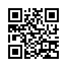 QR CODE 336