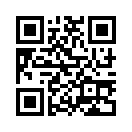 QR CODE 394