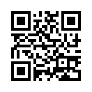 QR CODE 461