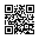 QR CODE 494