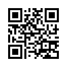 QR CODE 515