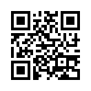 QR CODE 529