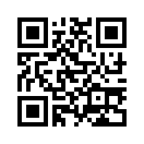 QR CODE 584