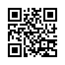 QR CODE 689
