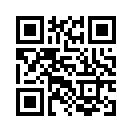 QR CODE 219
