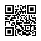 QR CODE 53