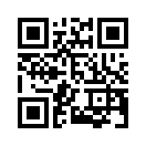 QR CODE 1179