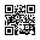 QR CODE 1337