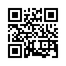 QR CODE 1767