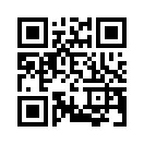 QR CODE 1771