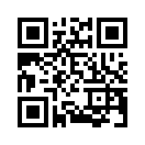 QR CODE 1961