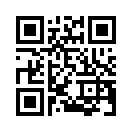 QR CODE 1981