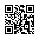 QR CODE 2029