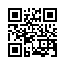 QR CODE 2033
