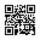 QR CODE 2080