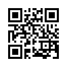 QR CODE 2081