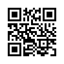 QR CODE 233