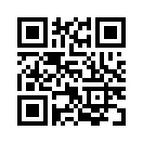 QR CODE 538