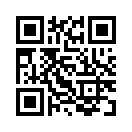 QR CODE 813