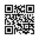 QR CODE 817