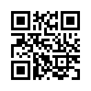 QR CODE 868