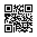 QR CODE 913