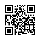 QR CODE 133