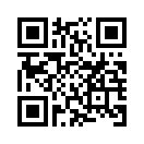 QR CODE 31