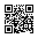 QR CODE 316