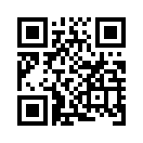 QR CODE 317