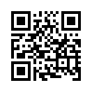 QR CODE 329