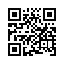 QR CODE 336