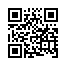 QR CODE 371